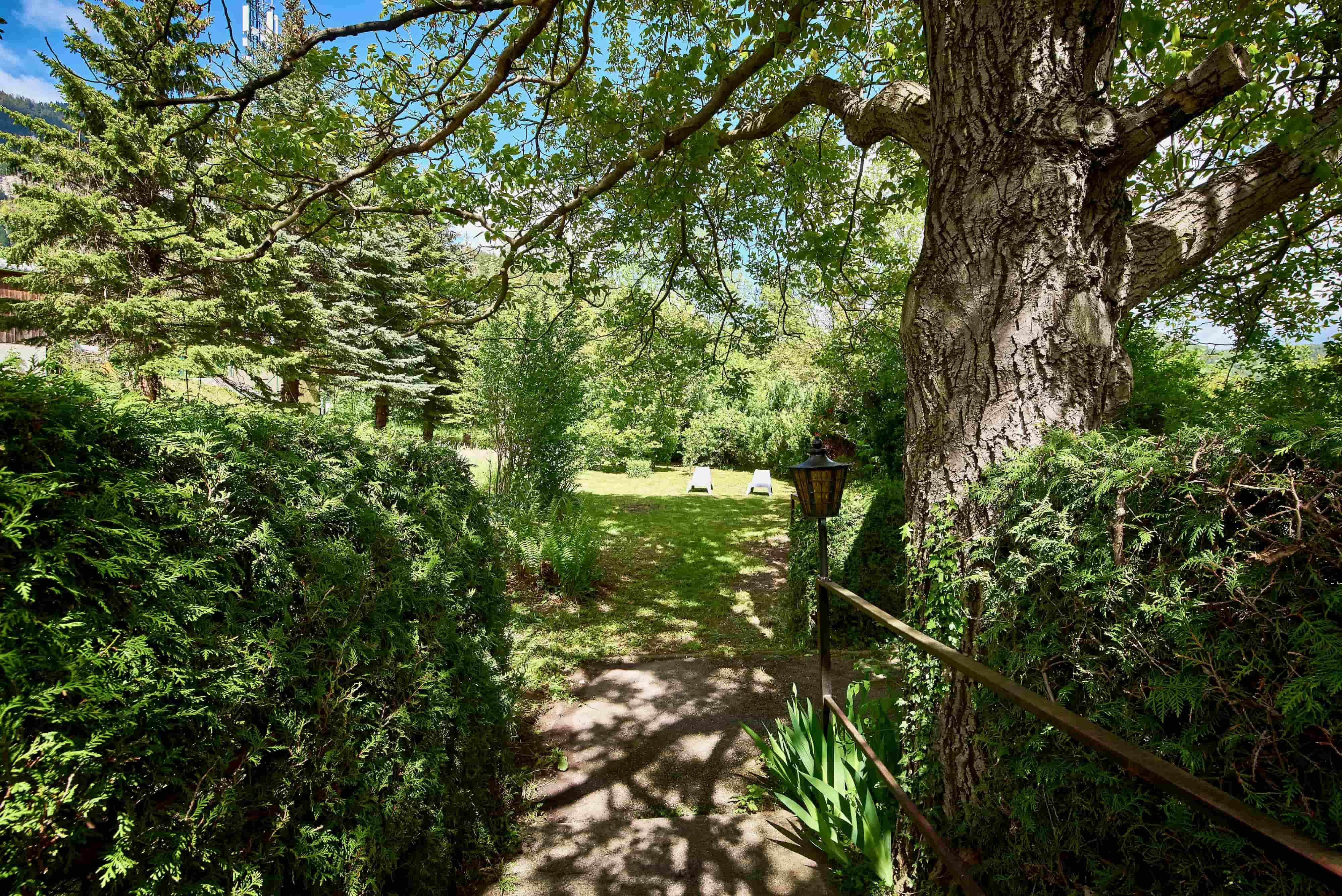 Ein grüner Garten mit Bäumen, Sträuchern und zwei Liegestühlen im Hintergrund.