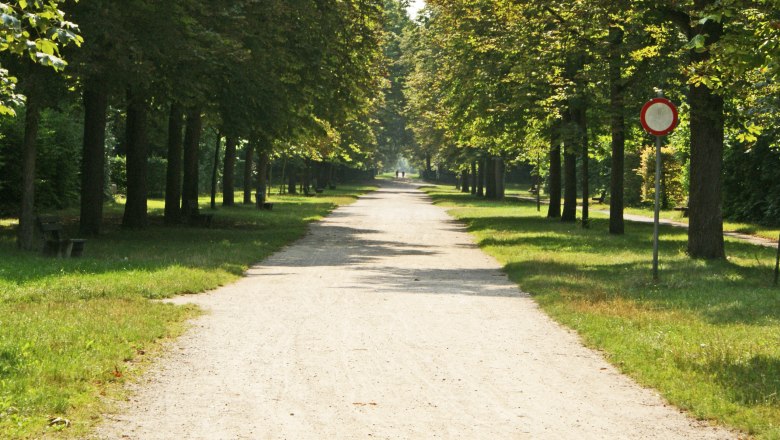 A wide, tree-lined path in the Wiener Neustadt Academy Park.