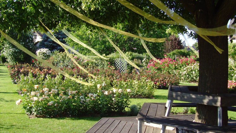 Ein Garten mit blühenden Rosen, Bänken unter einem Baum und gelben Bändern in den Ästen.