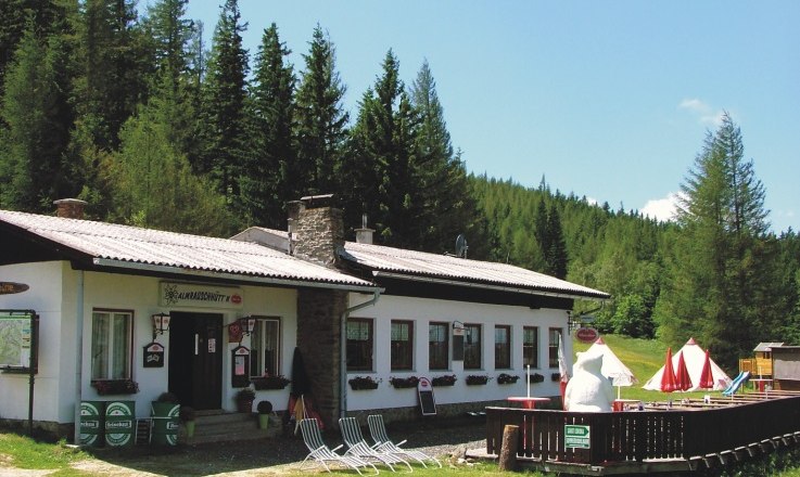 Almrauschhütte in einer Waldlandschaft mit Sonnenschirmen und Liegestühlen.