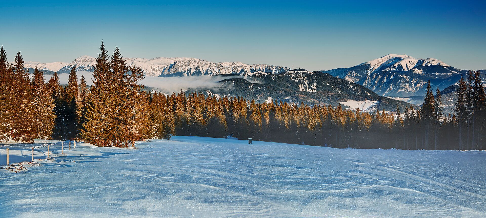 Die schneebedeckten Gipfel erstrahlen im warmen Licht der Morgensonne, während die majestätischen Nadelbäume eine ruhige Kulisse bieten. Hier, in der unberührten Natur, entfaltet sich die winterliche Pracht der Wiener Alpen und lädt zu unvergesslichen Erlebnissen ein.