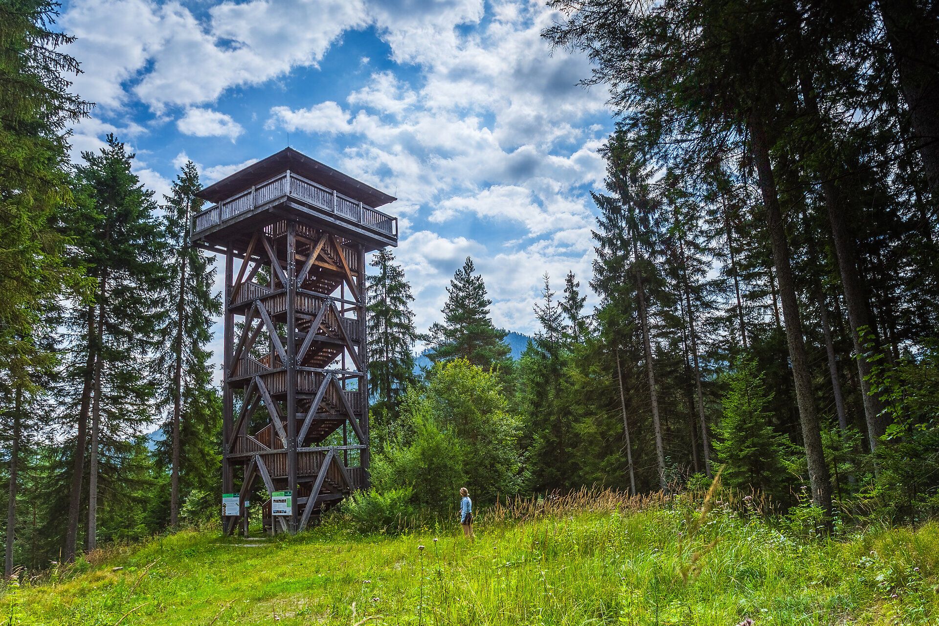 Aussichtsturm am Themenweg Werkstatt und Wasser bei Rohr im Gebirge