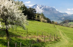 Hiking on the Gr&uuml;nbachsattel, &copy; Wiener Alpen/Franz Zwickl
