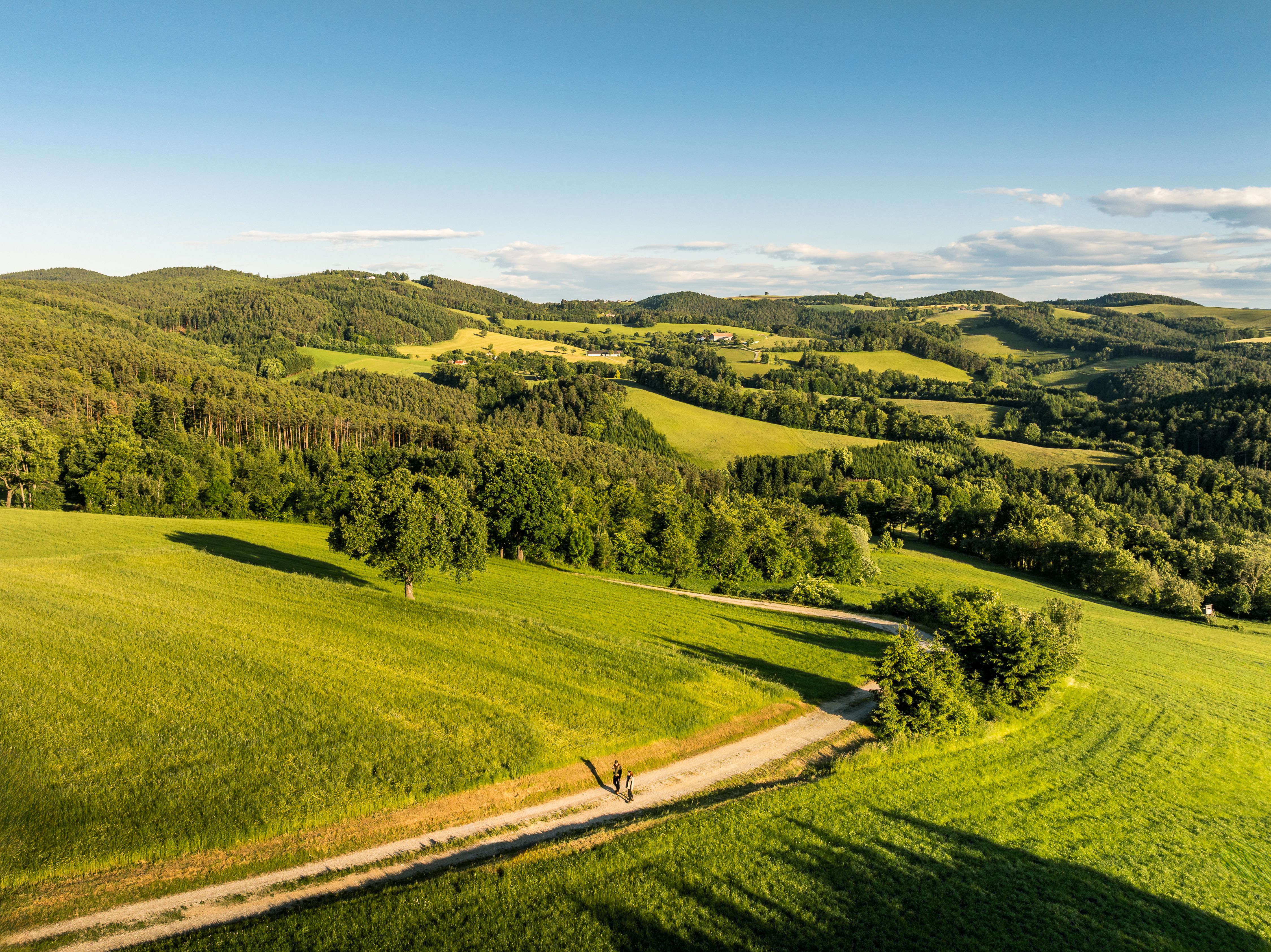 Landschaft mit grünen Hügeln und einem Wanderweg in den Wiener Alpen.