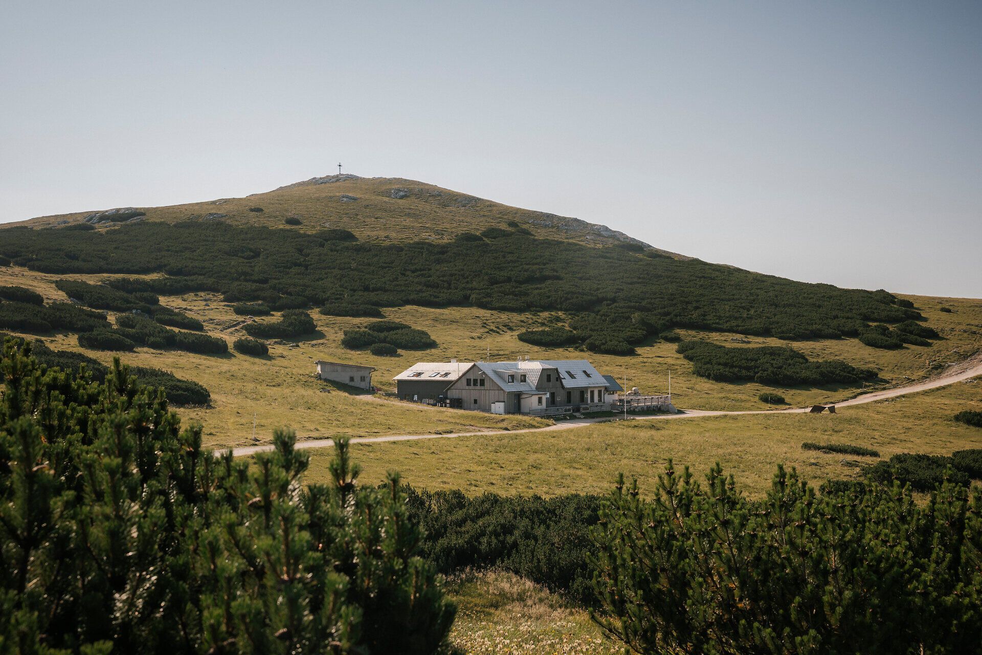 Blick auf das Damböckhaus am Schneeberg umgeben von grünen Almwiesen