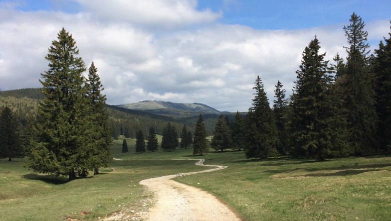 Ein Wanderweg schlängelt sich durch eine grüne Landschaft mit Bäumen und Bergen im Hintergrund unter einem blauen Himmel mit Wolken.