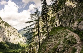 Rund 2.000 Kletter-Routen aller Schwierigkeitsgrade f&uuml;hren aus dem Talgrund auf Schneeberg und Rax., &copy; Robert Herbst
