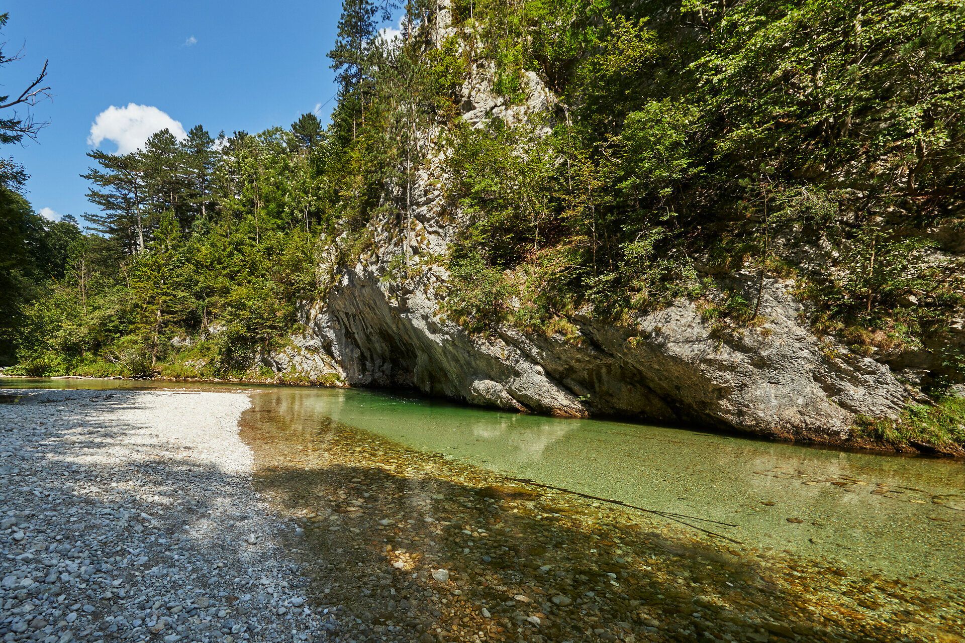 Die Schwarza im Höllental
