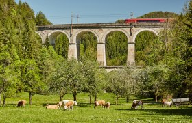 Semmeringbahn , © Niederösterreich Werbung/Michael Liebert