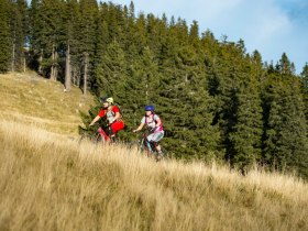 Haller Route bergauf by Wexl Trails #15a, © Wexl Trails