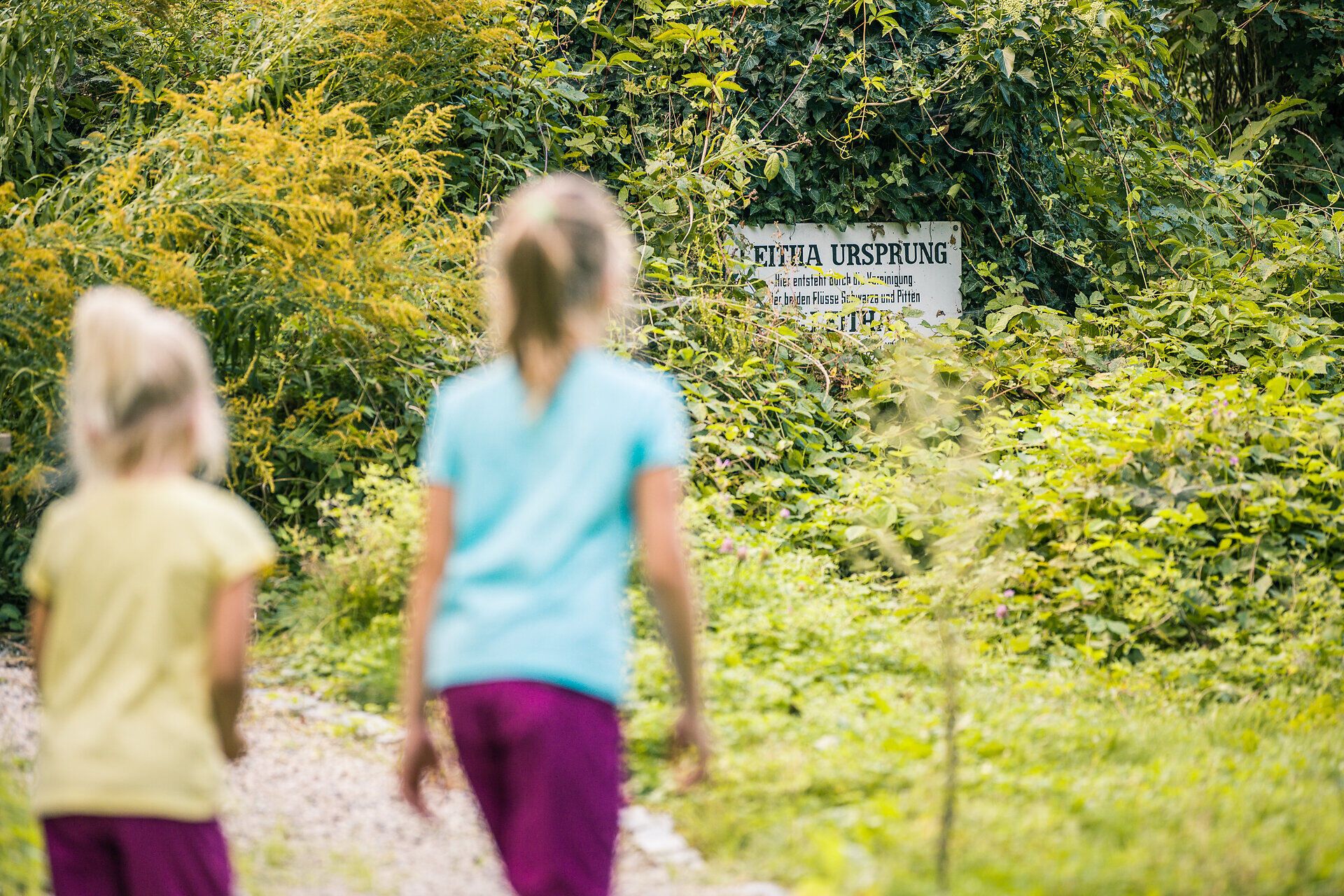 Am Rosalia Rundwanderweg kommt man am Leitha Urlsprung vorbei.