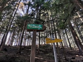 Gute Beschilderung entlang des Weges, &copy; Wiener Alpen in Nieder&ouml;sterreich - Wechsel