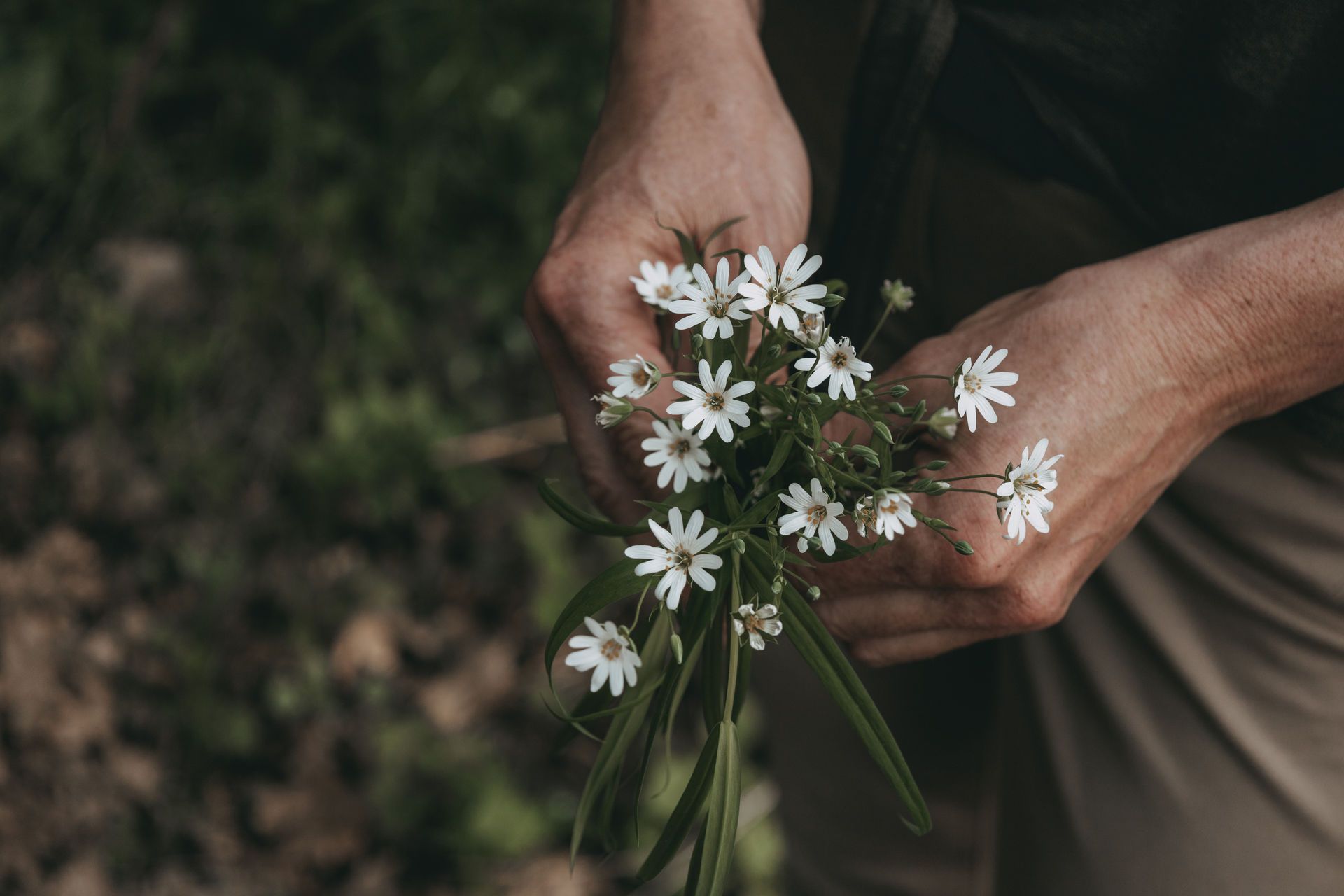 Nahaufnahme von Händen, die einen Strauß weißer Wildblumen halten.