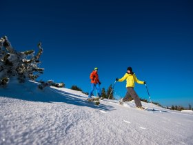 Schneeschuhwandern auf der Rax, © ©Wiener Alpen, Foto: Claudia Ziegler