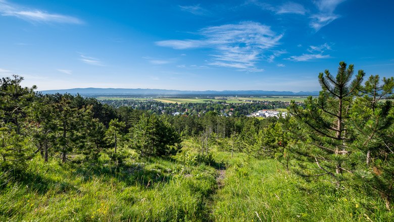 Panoramablick auf eine grüne Landschaft mit Bäumen und einem Dorf im Hintergrund unter blauem Himmel.