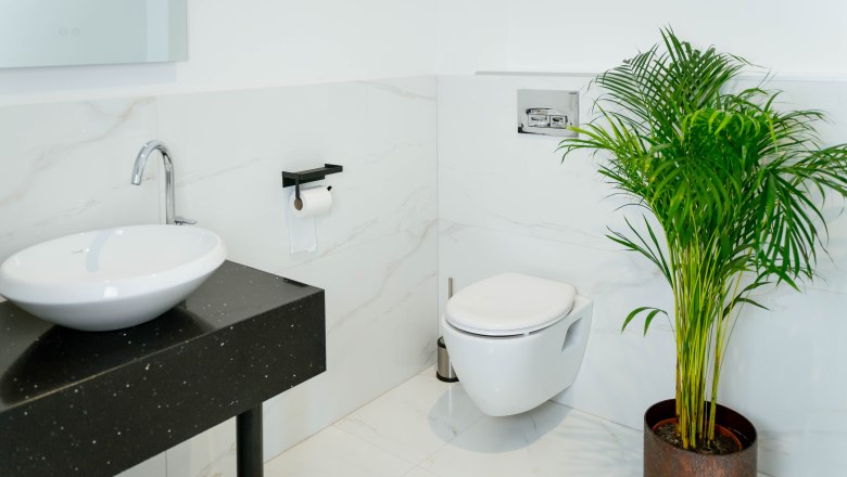 Modernes Badezimmer mit Waschbecken, Toilette und Pflanze.