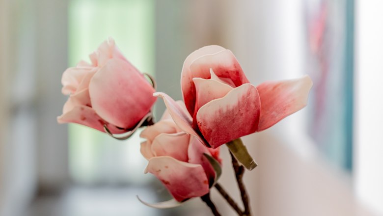 Nahaufnahme von rosa Blüten in einem Innenraum.