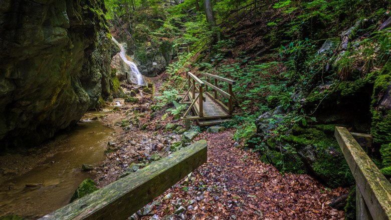 Ein Waldweg mit Holzbrücke führt zu einem Wasserfall in einer grünen, felsigen Schlucht.