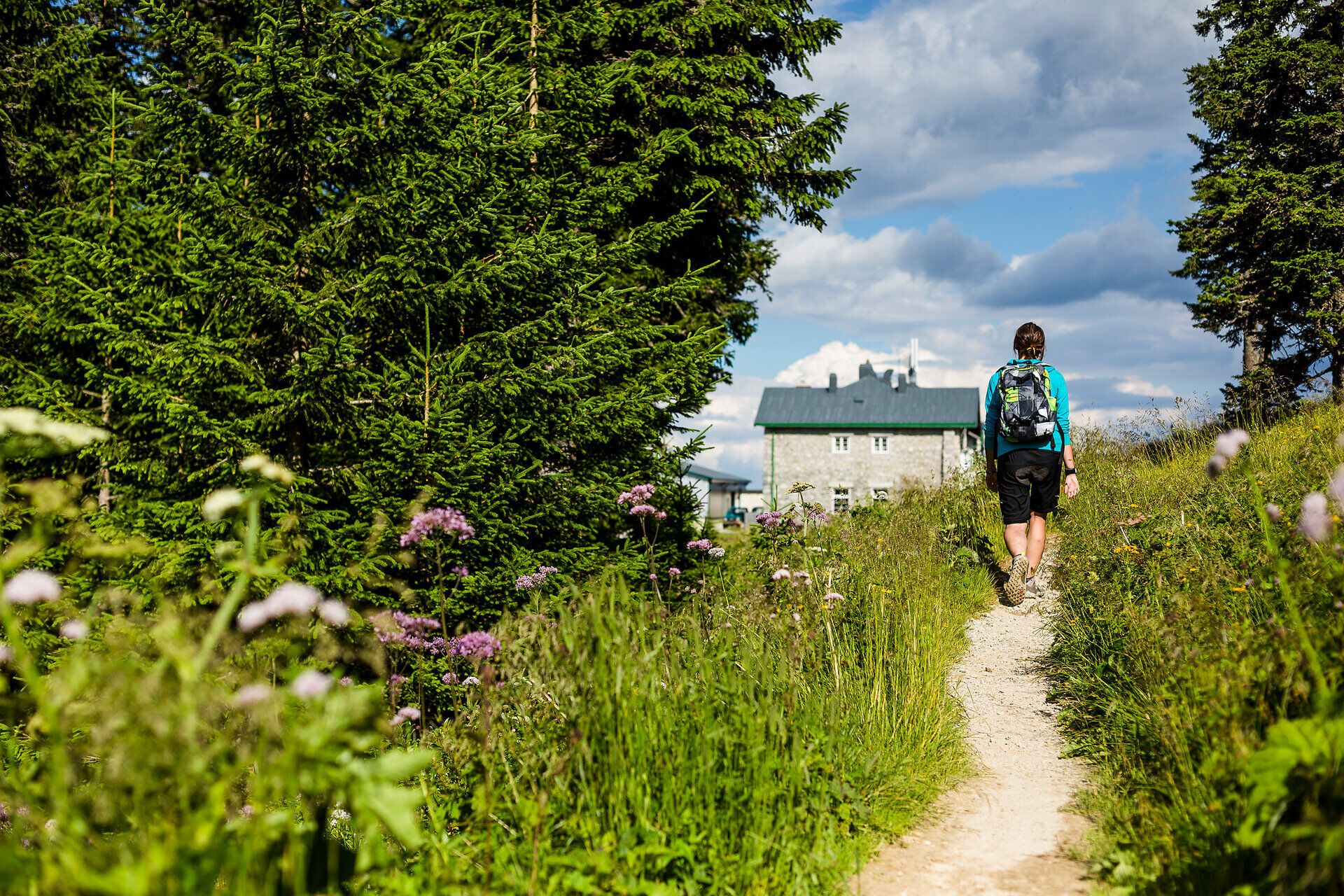 Ein Wanderer genießt die frische Bergluft und die atemberaubende Aussicht auf die umliegenden Wälder und Wiesen. Die bunten Wildblumen säumen den Weg und laden dazu ein, die Schönheit der Natur in vollen Zügen zu erleben. Hier, in den Wiener Alpen, wird jeder Schritt zu einem unvergesslichen Erlebnis.
