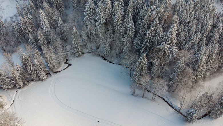 Luftaufnahme einer verschneiten Waldlandschaft mit einer Langlaufloipe, daneben schl&auml;ngelt sich ein Bach durch die Landschaft