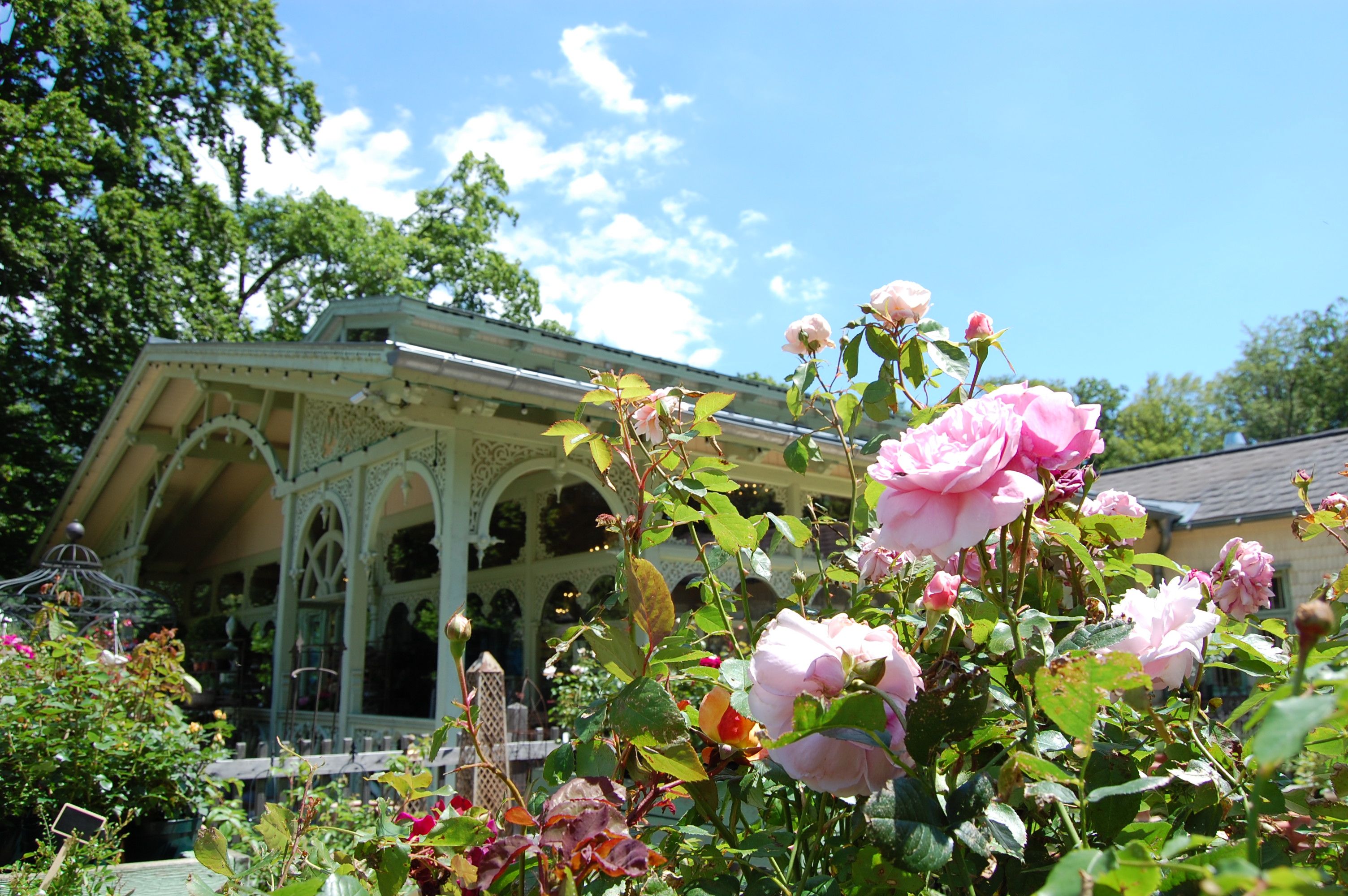 Gebäude mit pastelgrünen Holzornamenten, davor ein Rosenstrauch