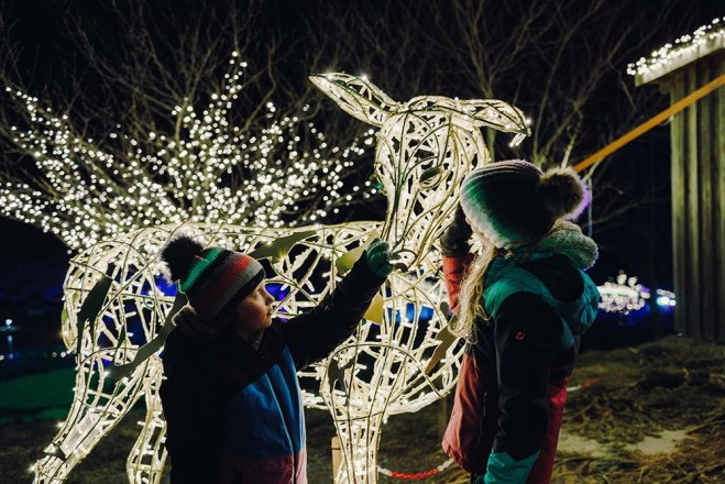 Lichterglanz Spektakel 2025, © Blochberger Eisproduktion GmbH