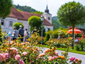 Im Rosengarten Pitten, © Wiener Alpen in Niederösterreich - Bad Erlach