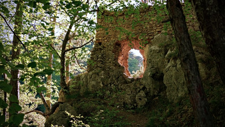 View through a hole in an old stone wall, surrounded by trees and leaves.