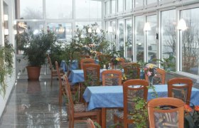 A winter garden with tables, blue tablecloths and lots of plants.