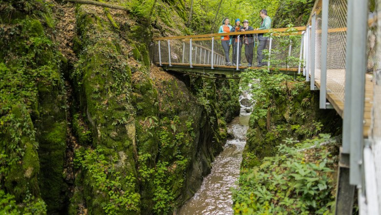 Eine Gruppe von Menschen steht auf einem Steg über einer bewaldeten Schlucht mit einem Bach.