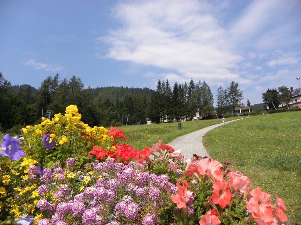 Colorful flowers in the foreground, a path leads through a green meadow, surrounded by trees under a blue sky.