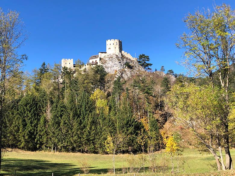 Ruin Losenheim on a hill with trees in the foreground.