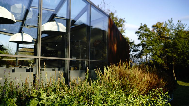 Moderne Orangerie mit Glaswänden und Pflanzen im Vordergrund.