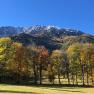 Autumn landscape with colorful trees and snow-covered mountains in the background.