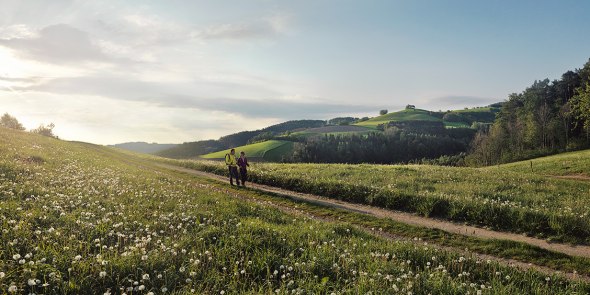 Die Umgebung von Bad Schönau beim Wandern entdecken, © Wiener Alpen/Florian Lierzer