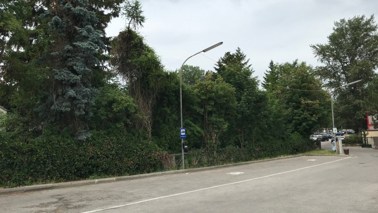 Parkplatz mit Bäumen und Laternen, bewölkter Himmel.