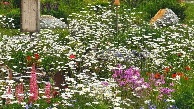A colorful wild bee garden with lots of flowers and an insect hotel.