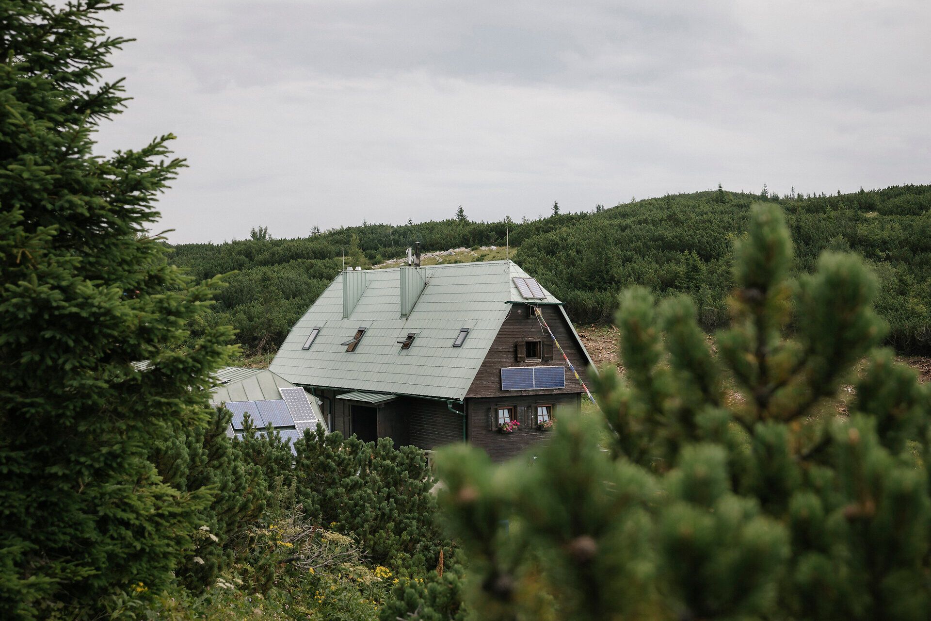 Neue Seehütte auf der Rax inmitten von Latschen und alpiner Vegetation
