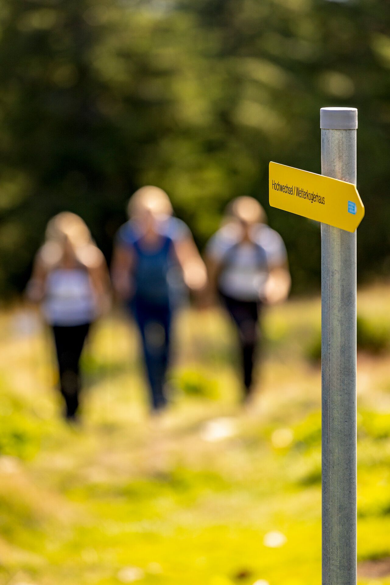 Eine Beschilderung zeigt den Weg Richtung "Hochwechsel Wetterkoglerhaus", im Hintergrund sind die Umrisse von drei Wanderern zu erkennen.