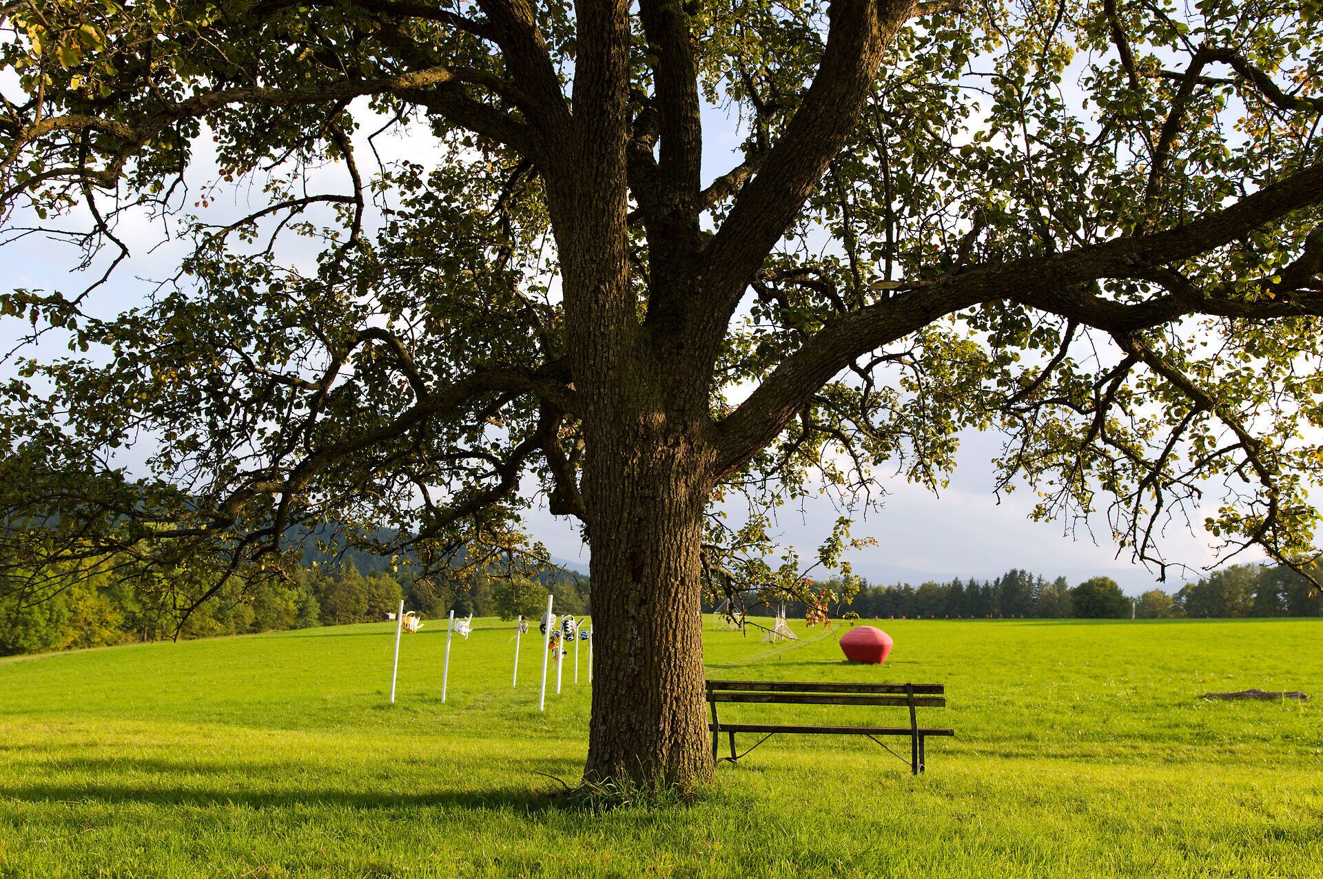 Unter dem schattenspendenden Baum lädt eine Bank zum Verweilen ein, während die sanften Wiesen im Hintergrund eine friedliche Atmosphäre schaffen. Die Kunstinstallation, die in die Landschaft integriert ist, harmoniert perfekt mit der natürlichen Umgebung und bietet einen inspirierenden Anblick für alle Besucher.