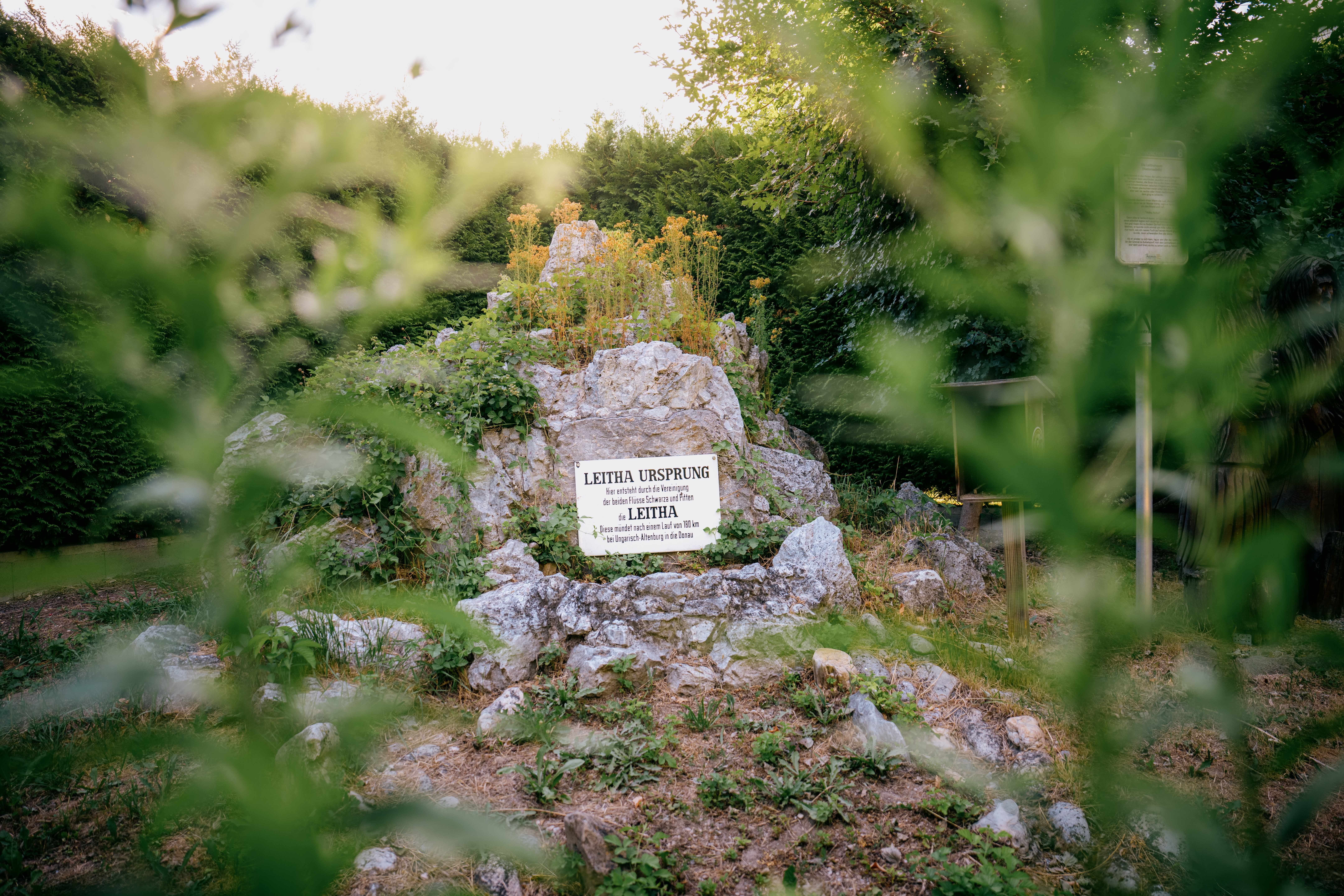 Fels mit Schild „Leitha Ursprung“ im Grünen, aufgenommen auf dem Sagenweg Lanzenkirchen; im Vordergrund unscharfe Blätter, rechts ein Schild mit einer Sage..