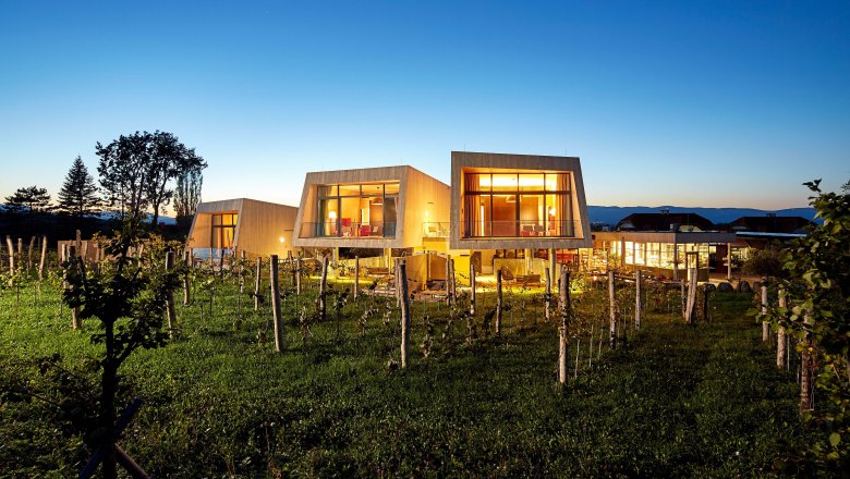 Modern kerti loftok a Gut Guntramsban alkonyatkor, szőlővel körülvéve.