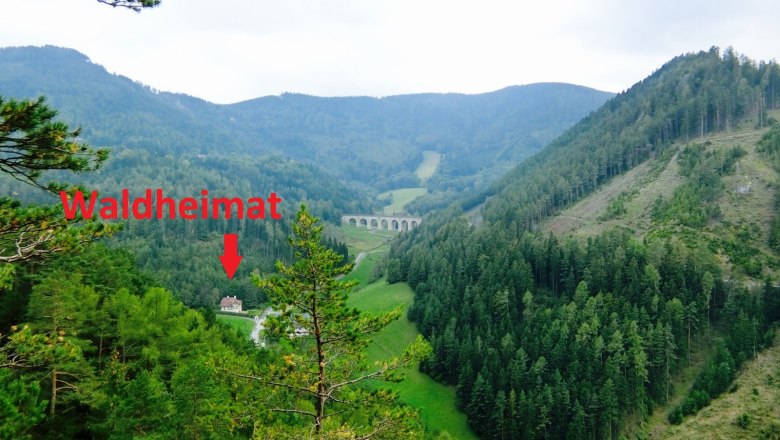 Blick auf eine bewaldete Berglandschaft mit einem Viadukt und einem markierten Gebäude namens Waldheimat.