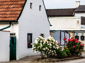 Altes, wei&szlig;es Haus mit Rosen im Vordergrund
