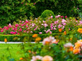 Rosengarten in Pitten, © Wiener Alpen in Niederösterreich - Bad Erlach