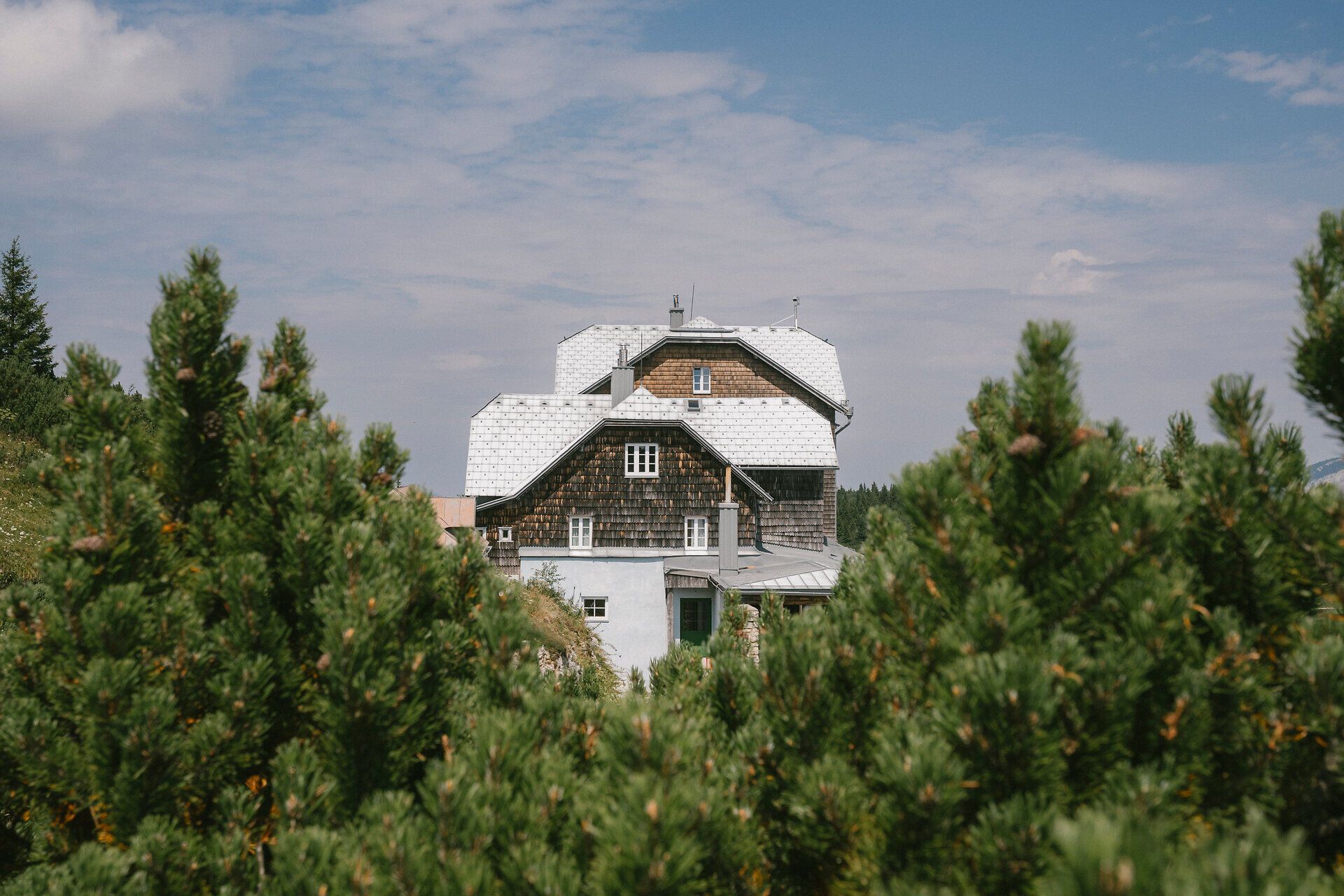 Ottohaus auf der Rax zwischen Latschenkiefern hervorblickend