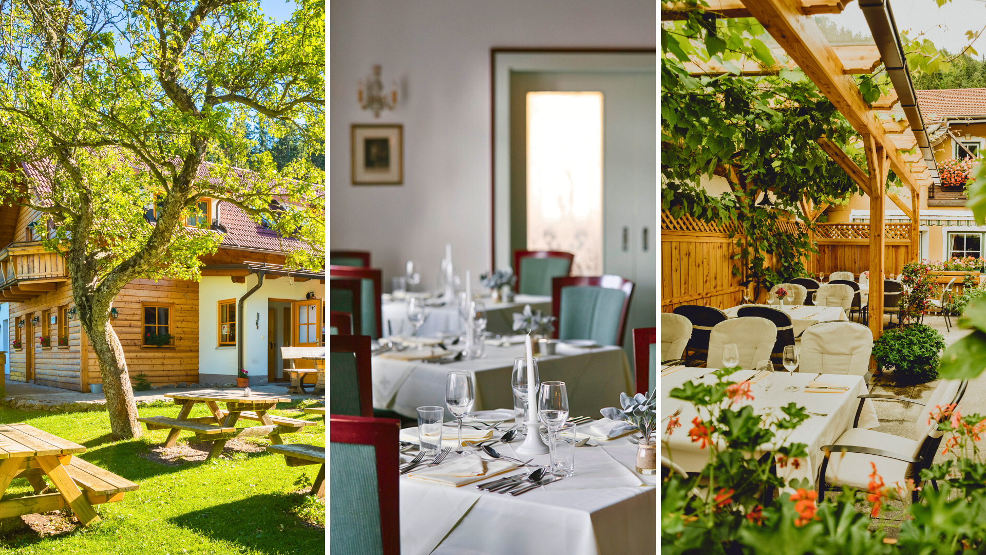 3 verschiedene Einkehrmöglichkeiten mit Tischen & Bänken, indoor und Outdoor