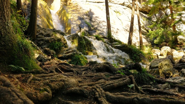 Ein Wasserfall fließt über Felsen in einem bewaldeten Gebiet mit sichtbaren Baumwurzeln im Vordergrund.