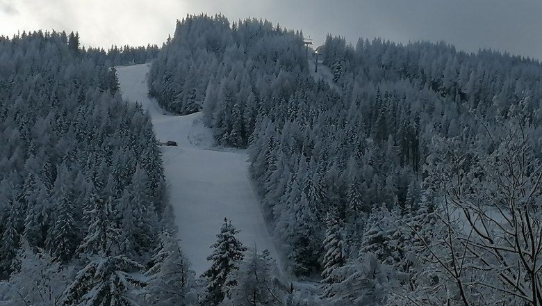 Verschneite Skipiste umgeben von dichten, schneebedeckten Bäumen.