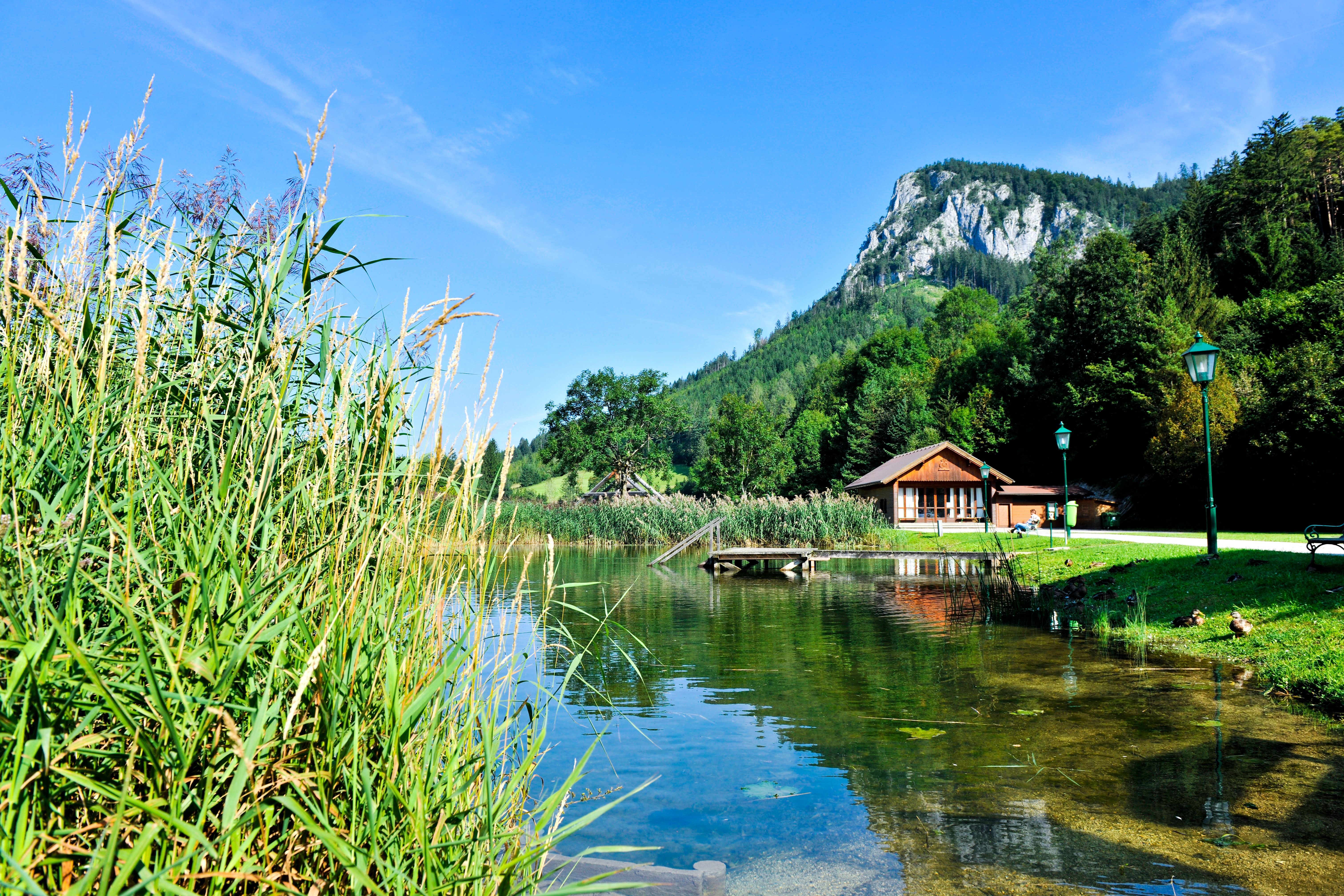 Ein Teich mit Schilf, einem Holzsteg und einem Haus im Naturpark Falkenstein, umgeben von bewaldeten Bergen.